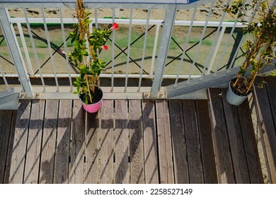 Pots of flowers near the fence, the fence on the street near the sea. A sunny day with shadows - Shutterstock ID 2258527149