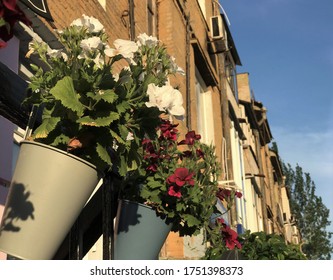 pots of flowers on the street of the city against the sky and yellow house