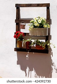 Pots And Sum Beam On Andalusian Modern Patio