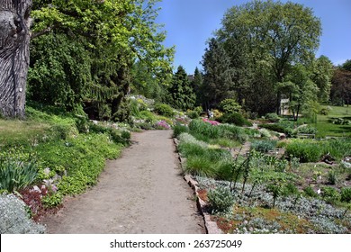 1000 Botanischer Garten Berlin Stock Images Photos Vectors