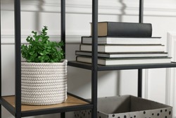Potted Artificial Plant And Books On Shelving Unit Indoors