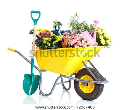 potted flowers and gardening equipment isolated on a white background