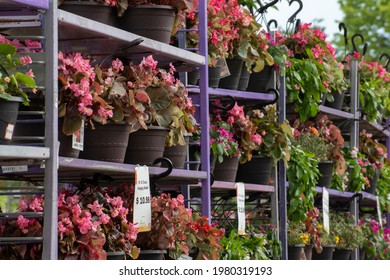 Potted Flowers For Sale Outside A Hardware Store. (selective Focus On Foreground Plants)