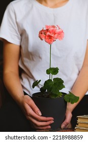 Potted Plant Geranium With Blossom, Books, Woman Sitting On The Floor And Reading. Greenery, Flower. Diseases. Aging, Wilting. Houseplant Care. Gardening, Floristry As A Hobby. Urban Jungle. Artisanal