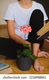 Potted Plant Geranium With Blossom, Books, Woman Sitting On The Floor And Reading. Greenery, Flower. Diseases. Aging, Wilting. Houseplant Care. Gardening, Floristry As A Hobby. Urban Jungle. Artisanal