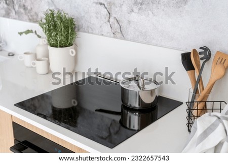 potted plant, kitchenware and contemporary glass ceramic cooker integrated in kitchen with stylish interior, household appliances concept