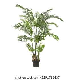 A potted plant with long leaves in the white background. - Shutterstock ID 2291716437