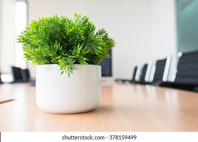 Potted Plants On Wooden Desk. Home Or Office Decorations