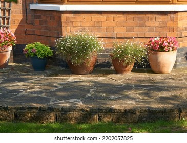 Potted Plants Outside A House                      