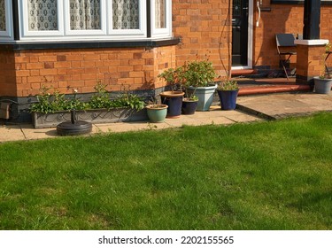  Potted Plants Outside A House                      