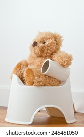 Potty Training Teddy