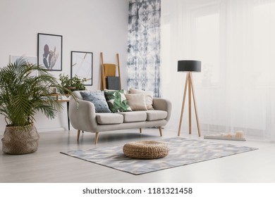 Pouf and plant near settee with pillows in bright apartment interior with lamp and posters. Real photo - Shutterstock ID 1181321458