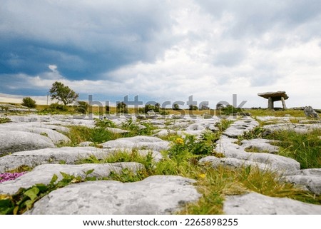 Poulnabrone Dolmen in Ireland, Uk. in Burren, county Clare. Period of the Neolithic with spectacular landscape. Exposed karst limestone bedrock at the Burren National Park. Rough Irish nature.