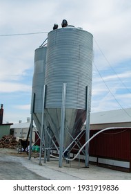 Poultry Farm Feed Silo.automatic Feeding Machine