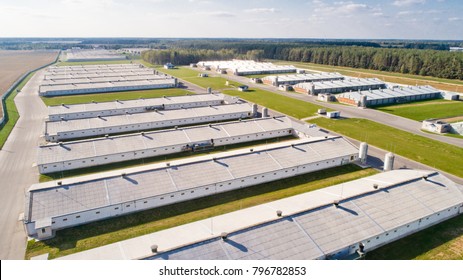 poultry farm industrial