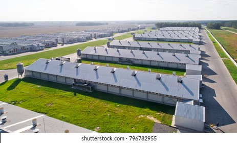 Poultry Farm Industrial