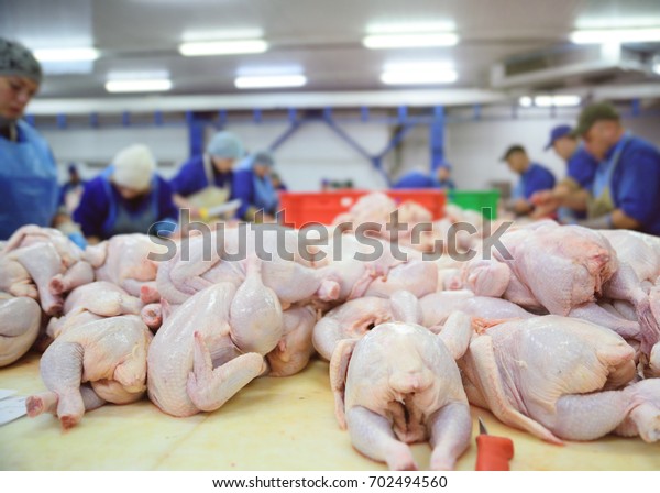 the poultry
processing in food industry.
.