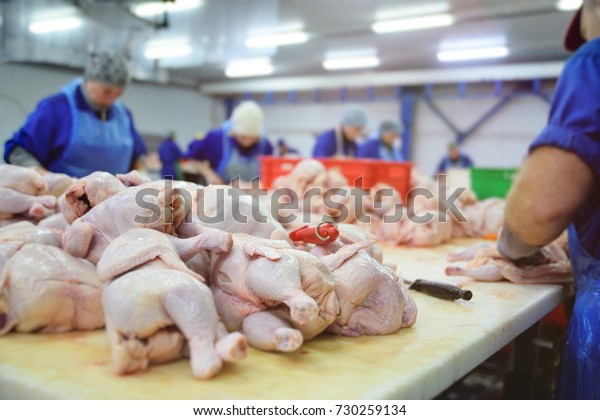 the poultry processing in food industry.\
Deboning chicken.