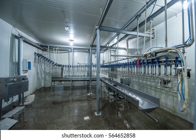 Poultry Processing Plant