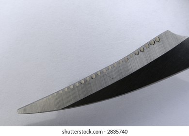 Poultry Shears Blade - Close Up Isolated