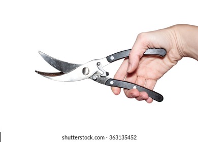 Poultry Shears In Hand Isolated On White 