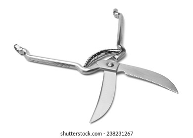 Poultry Shears On White Background