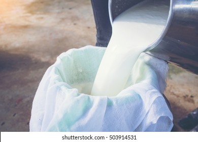 Pour Raw Fresh Milk Into A Bucket 