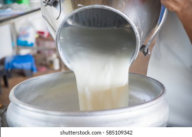 Pour Raw Milk Into A Bucket