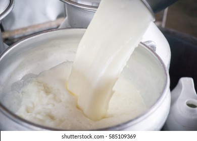 Pour Raw Milk Into A Bucket