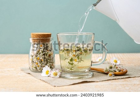 Similar – Image, Stock Photo Bellis perennis common daisy flower on the ground, springtime.