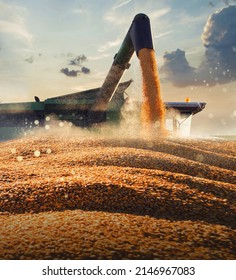 Pouring corn grain into tractor trailer after harvest at field - Shutterstock ID 2146967083