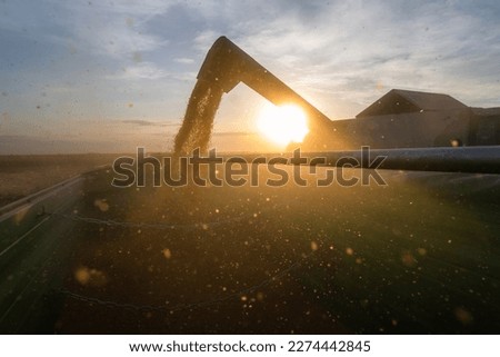 Similar – Foto Bild Hallig Gröde | Sonnenuntergang schauen