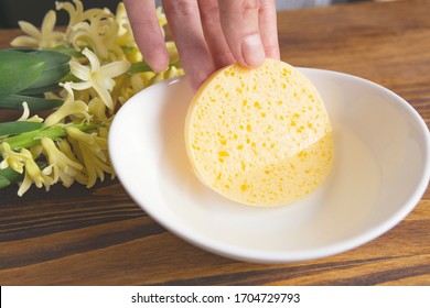 Pouring facial yellow sponge by hand into the water, wooden table with flower on it. Compressed natural cleansing cellulose sponges before washing face.  Facial SPA massage, copy space, close up view.