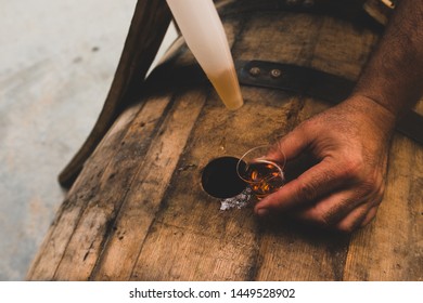 Pouring First Taste Of Whiskey From The Barrel