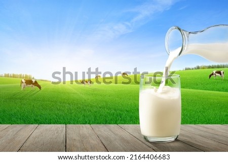 Pouring fresh milk with slope green grass and cows  background.