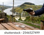 Pouring in glasses of white dry riesling wine made on Moselle river valley in Germany or Luxembourg, view on terraced vineyards in Nittel