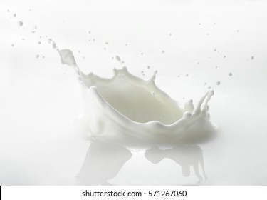 Pouring milk splash isolated on white background
