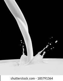 Pouring Milk Splash On Black Background. Empty Space.