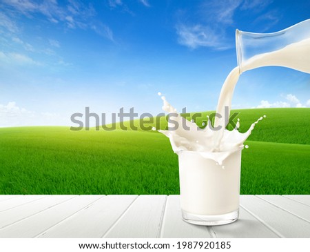 Pouring milk splash with slope green grass background.