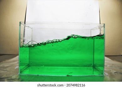 Pouring Pure Green Water Into Aquarium Tank.