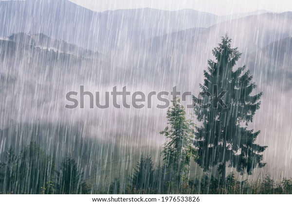 Pouring Rain Over Green Summer Carpathian Stock Photo 1976533826 ...