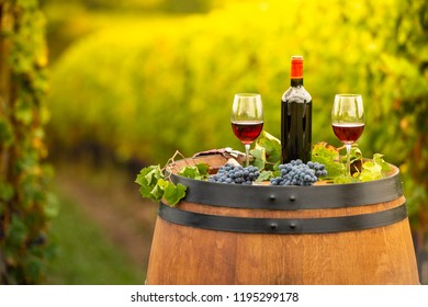 10,164 Wine barrel party Images, Stock Photos & Vectors | Shutterstock