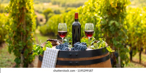 Pouring Red Wine Into The Glass, Barrel Outdoor In Bordeaux Vineyard, France