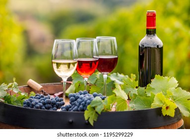 10,164 Wine barrel party Images, Stock Photos & Vectors | Shutterstock