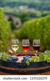 Pouring Red Wine Into The Glass, Barrel Outdoor In Bordeaux Vineyard, France