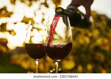 Pouring red wine into glasses at sunset