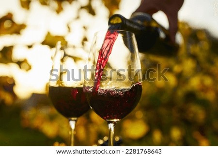 Pouring red wine into glasses at sunset