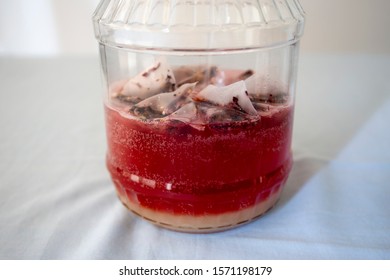 Pouring Spring Water And Sugar And Tea Bags In The Bottle To Make A Kombucha