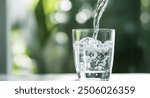 Pouring Water into a Glass Against a Green Blurred Background