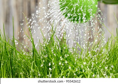 pouring from watering can on grass water